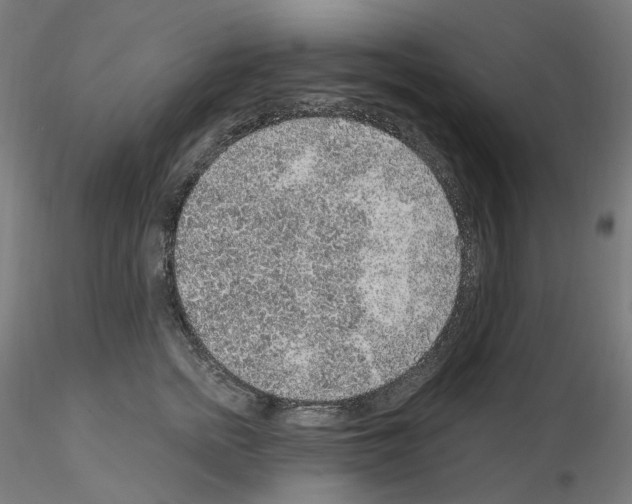X0000115610758200912221207