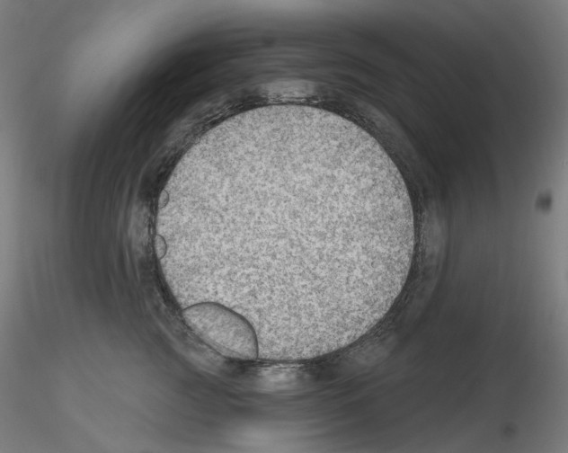 X0000115610761200912221207