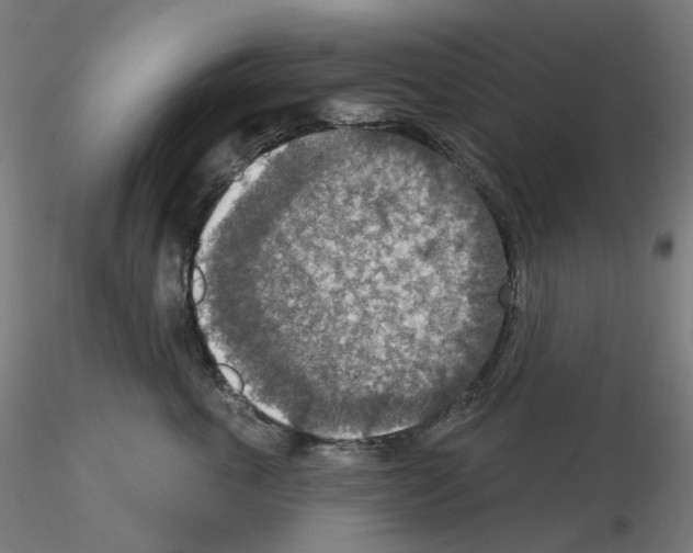 X0000115610763200912221207