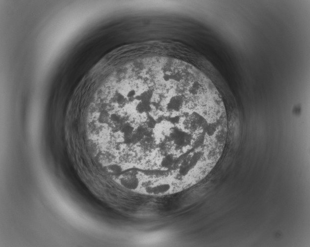X0000115610765200912221207