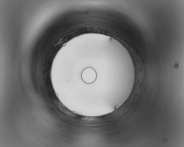 X0000115610766200912221207