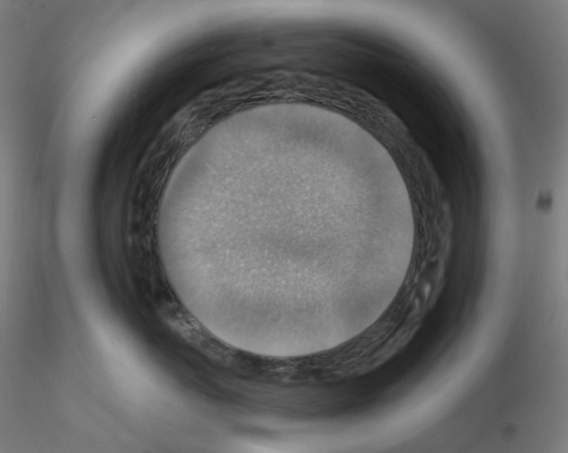 X0000115610767200912221207