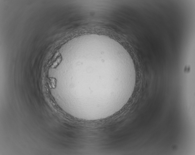 X0000115610769200912221206
