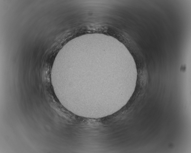 X0000115610770200912221206