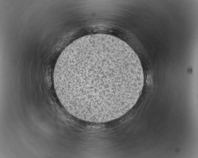 X0000115610771200912221206