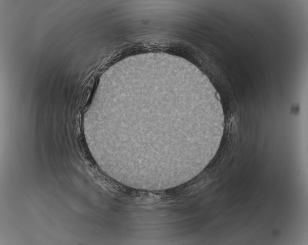X0000115610772200912221206
