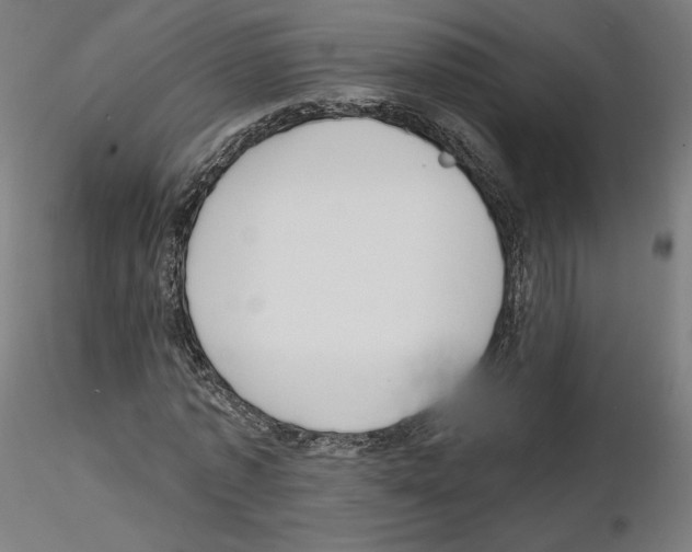 X0000115610773200912221206
