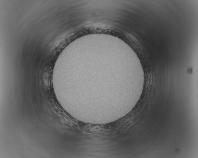 X0000115610774200912221206