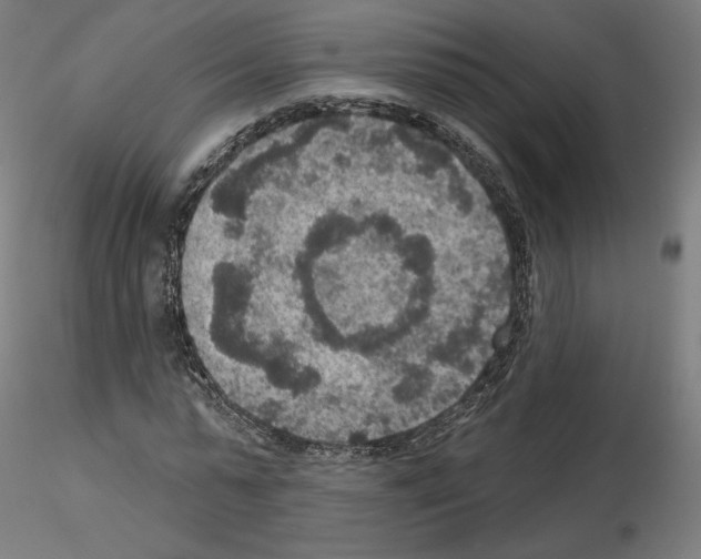 X0000115610775200912221206