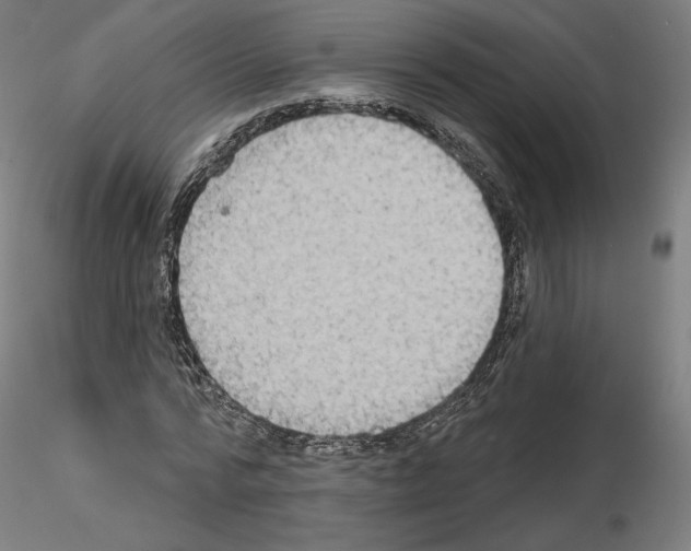 X0000115610776200912221206