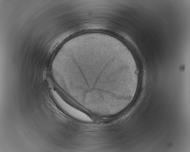 X0000115610777200912221206