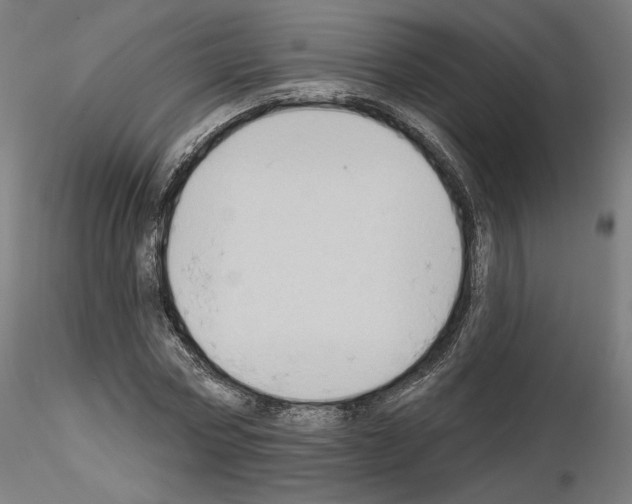 X0000115610778200912221206