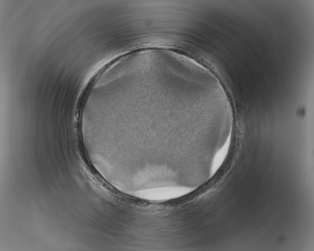 X0000115610779200912221206
