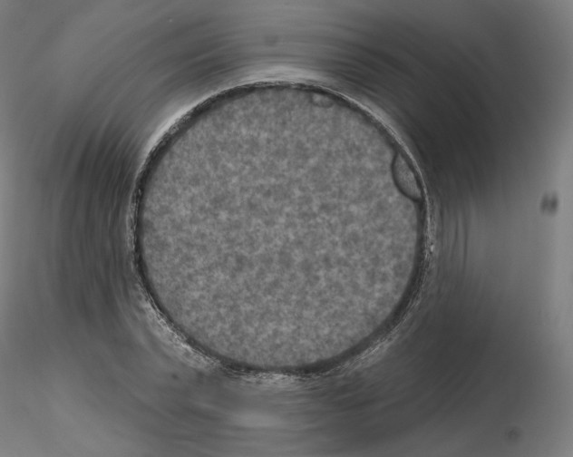 X0000115610783200912221206