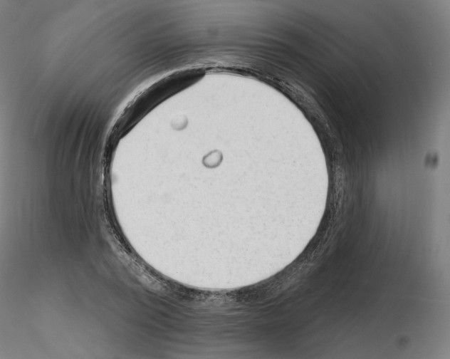 X0000115610784200912221206