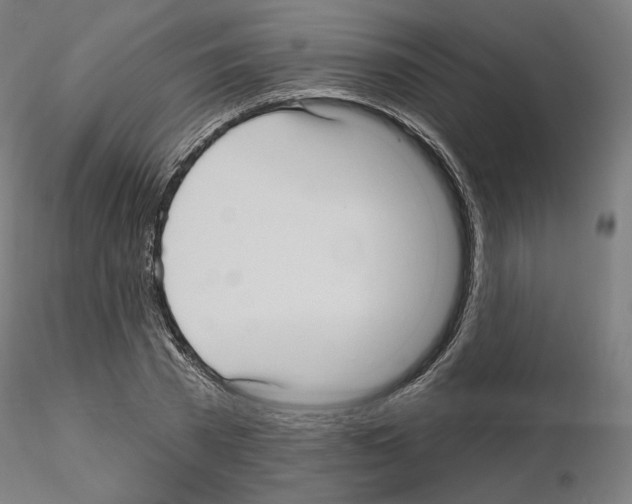 X0000115610785200912221206