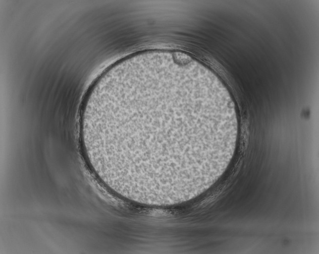 X0000115610787200912221206
