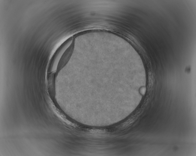 X0000115610788200912221206
