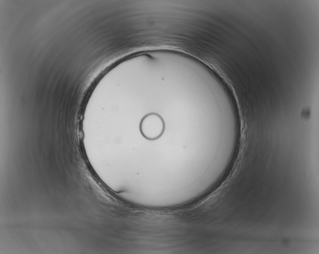 X0000115610789200912221206