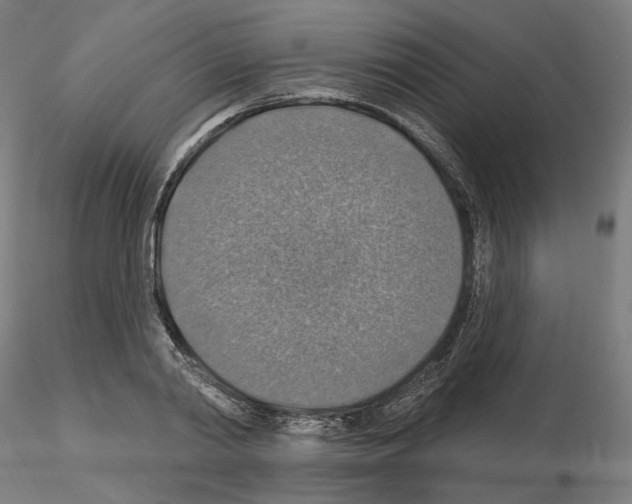 X0000115610790200912221206