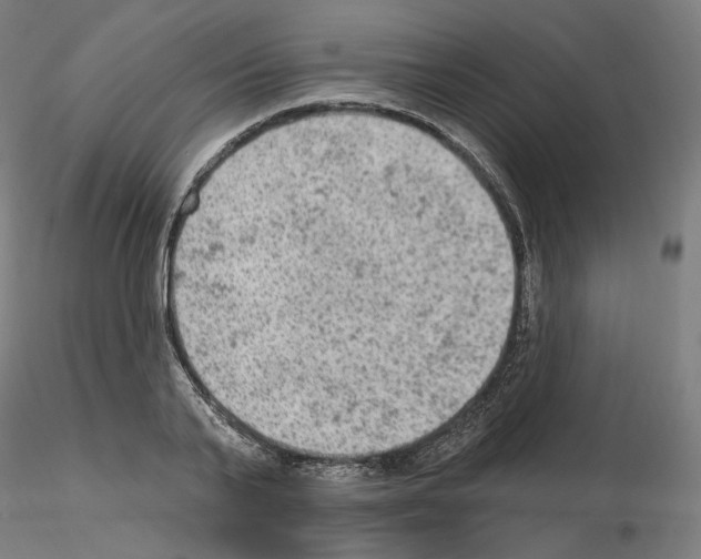 X0000115610791200912221206