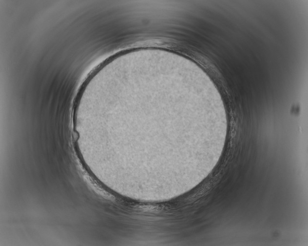 X0000115610792200912221206