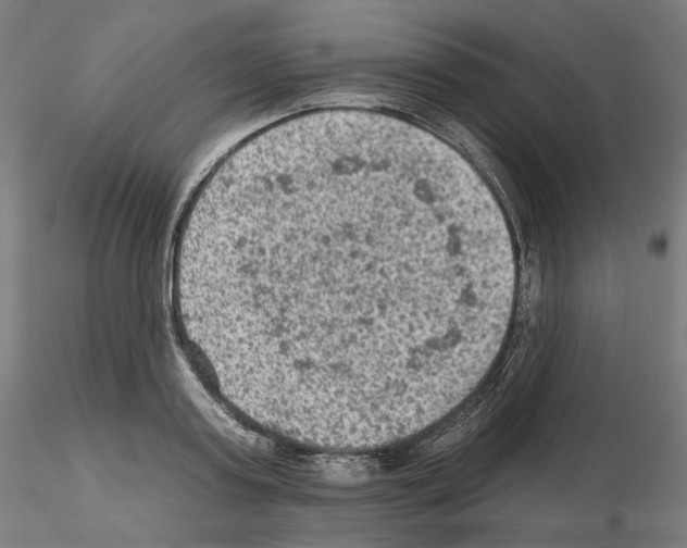 X0000115610795200912221206