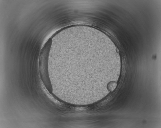 X0000115610796200912221206