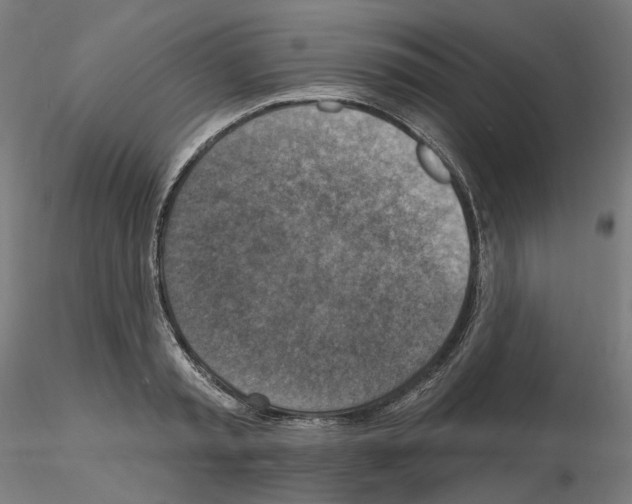 X0000115610797200912221206