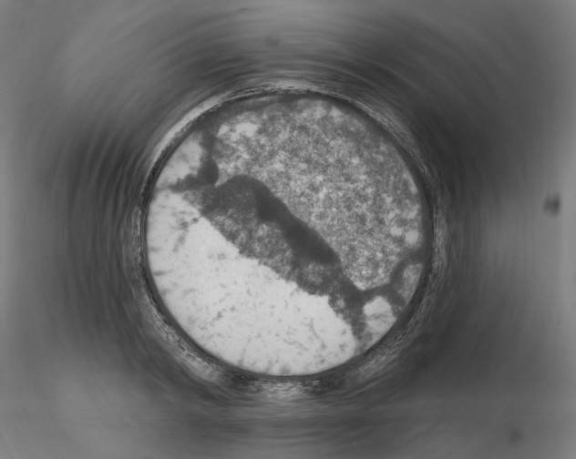 X0000115610798200912221206