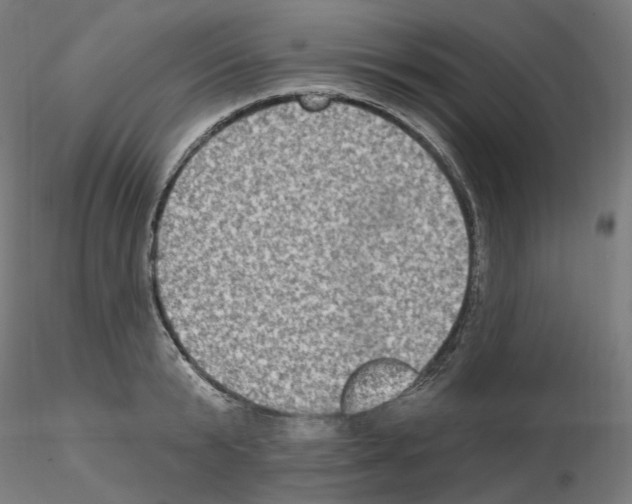 X0000115610799200912221206