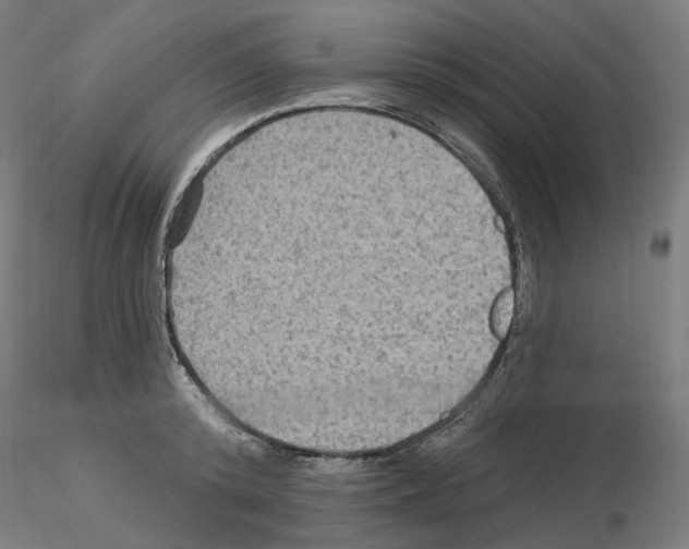 X0000115610800200912221206