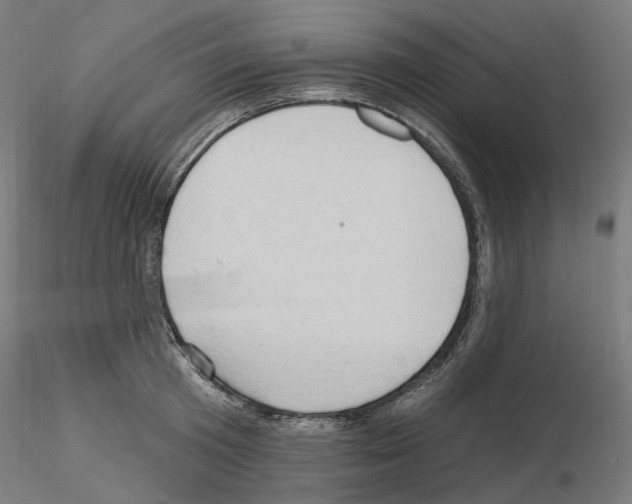 X0000115610801200912221206