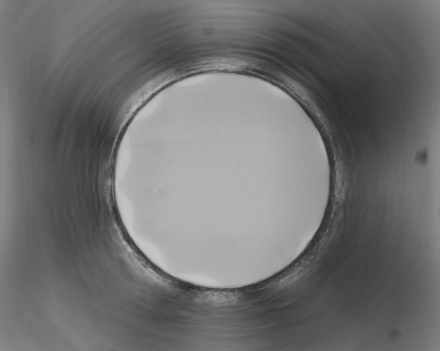 X0000115610802200912221206