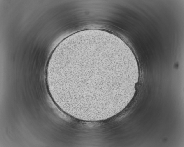 X0000115610803200912221206