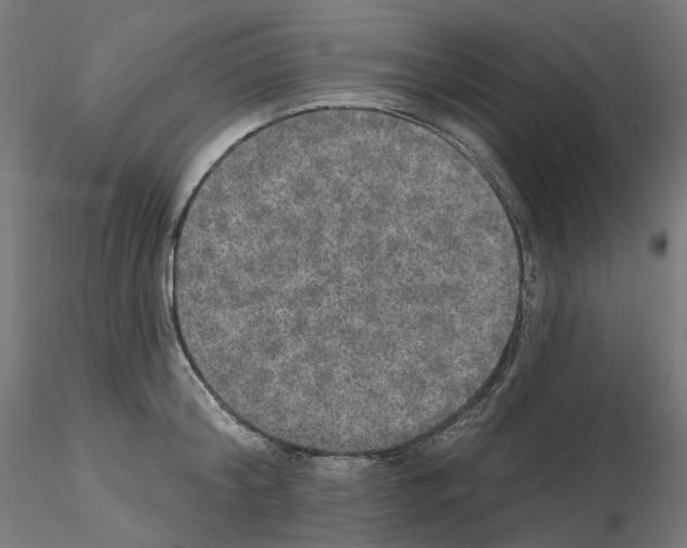 X0000115610804200912221206