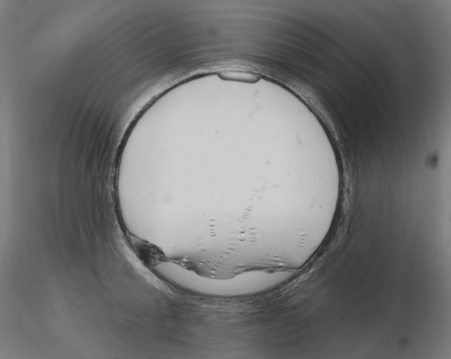 X0000115610805200912221206