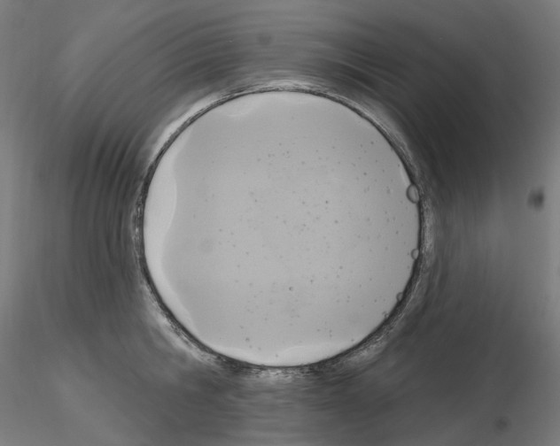 X0000115610806200912221206
