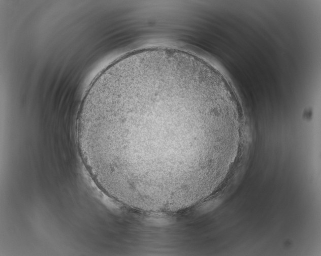 X0000115610807200912221206