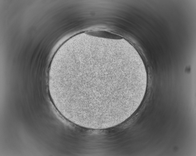 X0000115610808200912221206