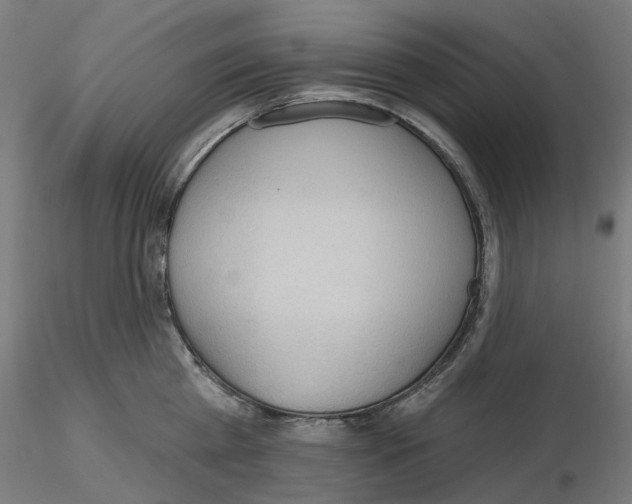 X0000115610809200912221206