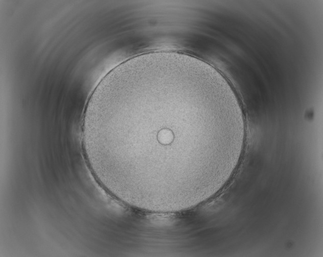 X0000115610810200912221206