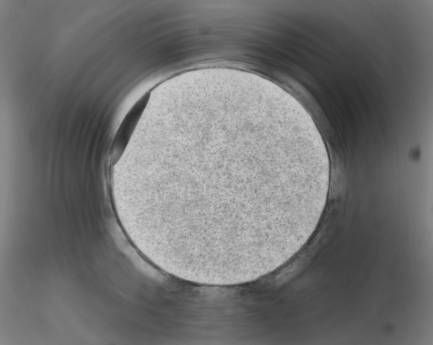 X0000115610812200912221206