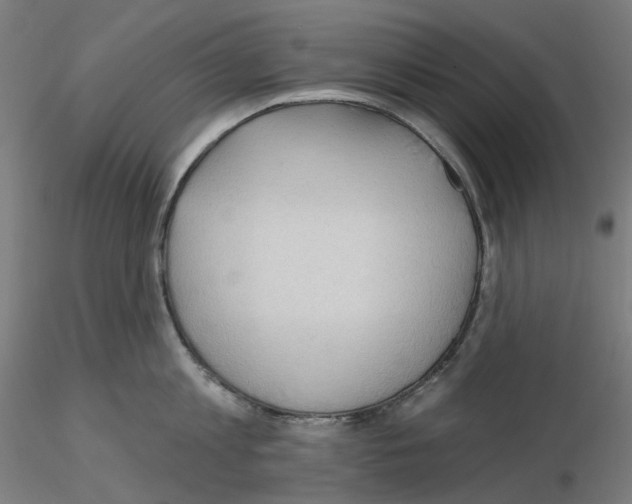 X0000115610813200912221206
