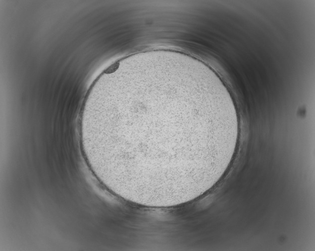 X0000115610814200912221206