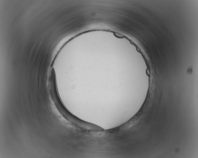 X0000115610815200912221206