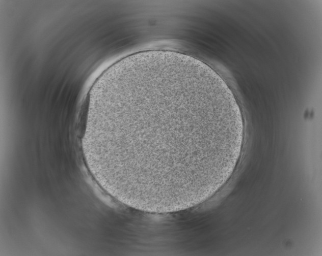 X0000115610816200912221206