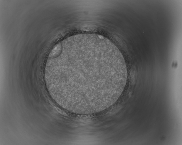 X0000115610817200912221205