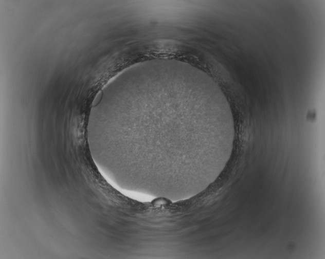 X0000115610818200912221205