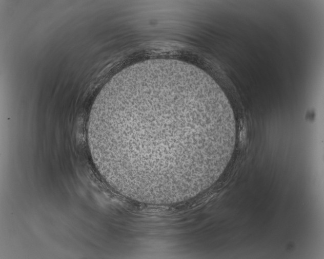 X0000115610819200912221205
